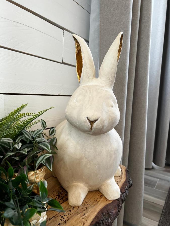 Pan Pan Le Lapin Aubagne-Cassis-Aix En Provence Daire Dış mekan fotoğraf